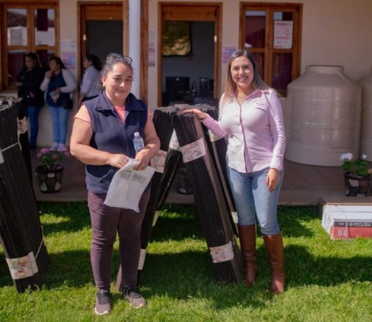 Dayana Pérez fortalece el apoyo a las familias de Salvador Escalante con entrega de apoyos