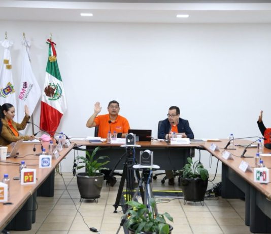 Aprueba IEM Dictamen de Evaluación del Servicio Profesional Electoral Nacional