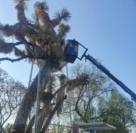 Gobierno de Morelia interviene y mejora áreas verdes