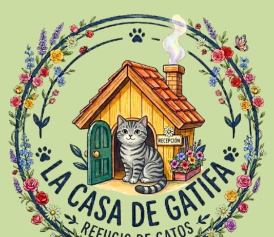 • La Casa de Gatifa apela al corazón social: lanza rifa solidaria para salvar a Rito y Pirata