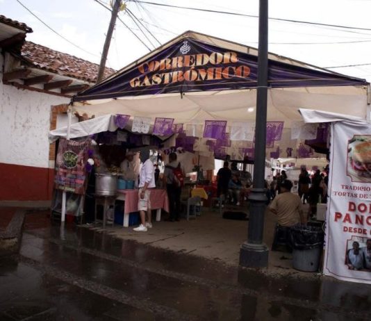 Orden y coordinación fortalecen las actividades en Santa Clara del Cobre: destaca Dayana Pérez Mendoza