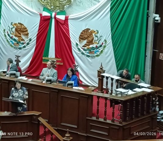 Advierte Ana Vanessa Caratachea irregularidades en dictamen sobre desincorporación de bienes