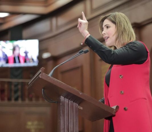 Diputada Brissa Arroyo propone robustecer jurídicamente medidas cautelares