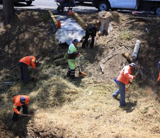 Gobierno de Morelia interviene áreas verdes y espacios públicos del Río Chiquito y Bulevar García de León