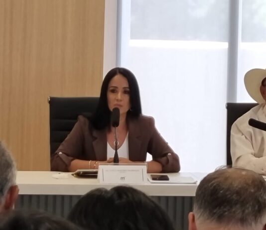 Regidora del PRD en Morelia propone revisar criterios en aplicación de descuentos