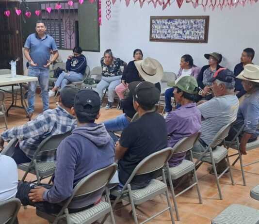 Brigada Morelia Siempre Verde fortalece vínculos con comunidades rurales