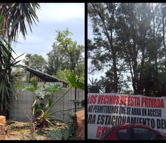 Denuncian acciones irregulares en el gimnasio Seven Days