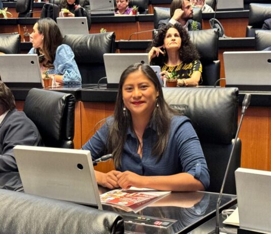 Avanza en Michoacán reforma constitucional contra el feminicidio impulsada desde el Senado: Celeste Ascencio