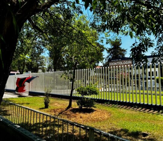 SUEUM fija postura sobre acceso a instalaciones universitarias