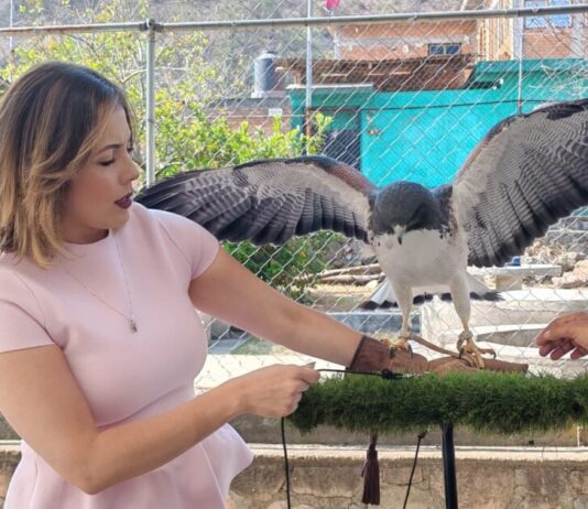 En alianza con el Zoológico, llevamos diversión y conocimiento a niñas y niños: Brissa Arroyo