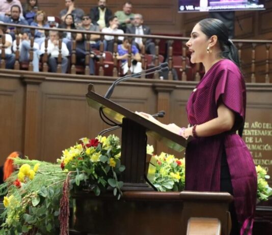 Reforma electoral en Michoacán fortalecerá la democracia: Diana Espinoza