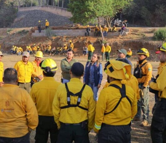 Dayana Pérez mantiene seguimiento y coordinación permanente ante incendio forestal en Copándaro