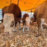 Gobierno de Morelia impulsa la innovación y tecnología del campo en la Agrotegan