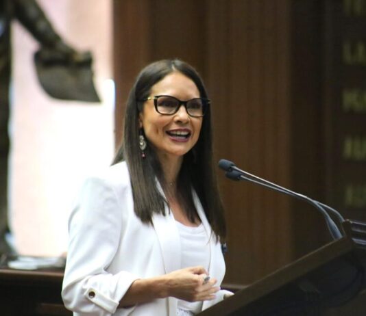 Presenta Nalleli Pedraza reforma para garantizar autonomía económica de personas con discapacidad