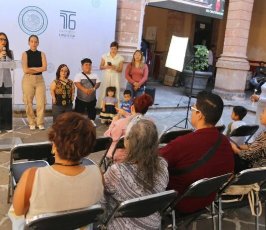 Presenta Nalleli Pedraza propuesta para garantizar el acceso a atención de médica a las personas con discapacidad