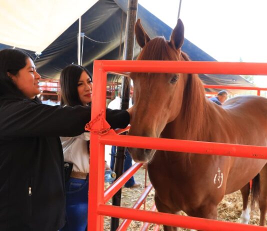 Expo Agrotegan 2026 cierra con éxito histórico y reafirma respaldo de Morelia al campo y sus familias