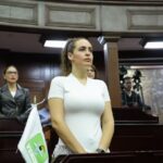 Endurecer penas por tala ilegal y devastación forestal en Michoacán, propone diputada Sandra Arreola