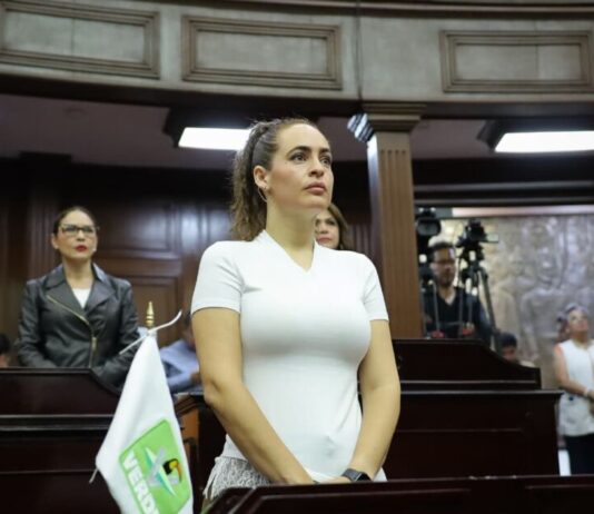Endurecer penas por tala ilegal y devastación forestal en Michoacán, propone diputada Sandra Arreola