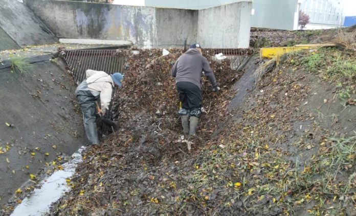 Realiza Gobierno de Morelia limpieza preventiva en canal Fray Antonio de San Miguel