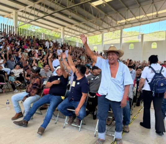 Acompaña el IEM consulta a la comunidad indígena de Pómaro