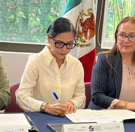 Renuevan ArcelorMittal México y la CEDH Michoacán alianza para fortalecer los derechos humanos y el desarrollo comunitario
