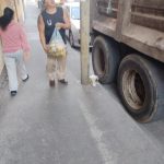 Vida Ecológica del Cupatitzio transforma 60 toneladas semanales de orgánicos en composta