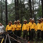 Gobierno de Morelia fortalece la recuperación de los bosques con jornada de reforestación