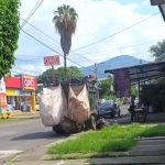 Recolección por cooperación tienen ingresos de hasta 8 mil pesos al día, reciben subsidio, aun así rechazan separar la basura