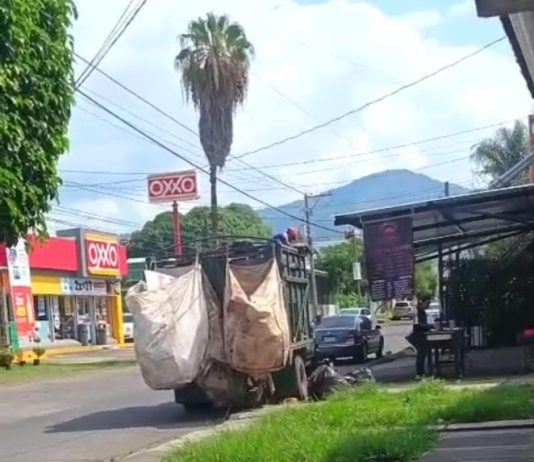 Recolección por cooperación tienen ingresos de hasta 8 mil pesos al día, reciben subsidio, aun así rechazan separar la basura