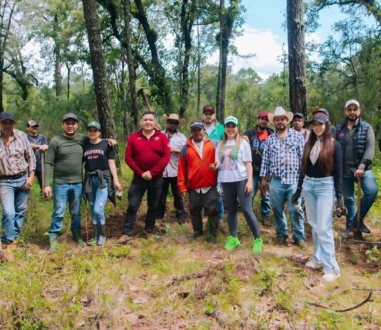 Dayana Pérez fortalece la reforestación en Agua Verde para proteger los bosques de Salvador Escalante