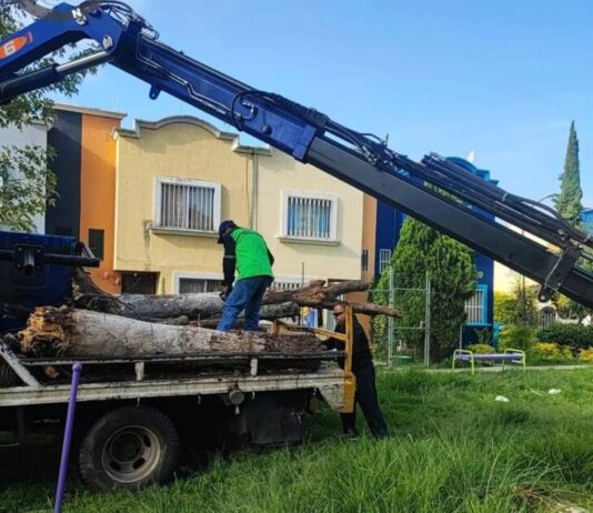 Gobierno de Morelia intensifica labores de limpieza de áreas verdes en distintos puntos de la ciudad