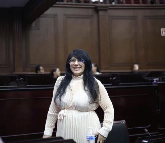 Vanhe Caratachea propone una ley para proteger a madres autónomas