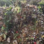 Vida Ecológica dona composta para restaurar bosques y suelos en Uruapan