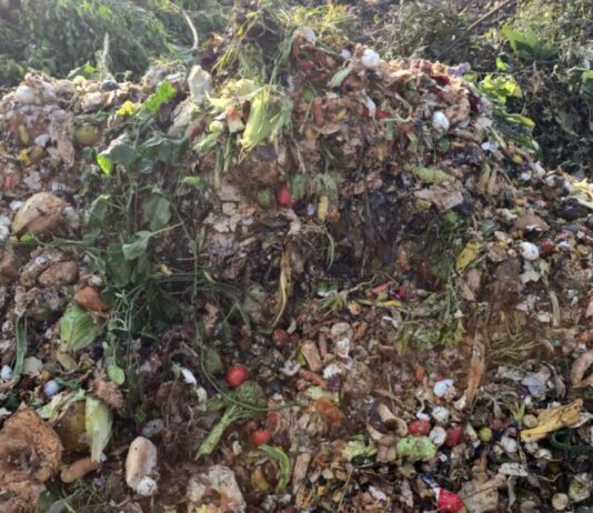 Vida Ecológica dona composta para restaurar bosques y suelos en Uruapan