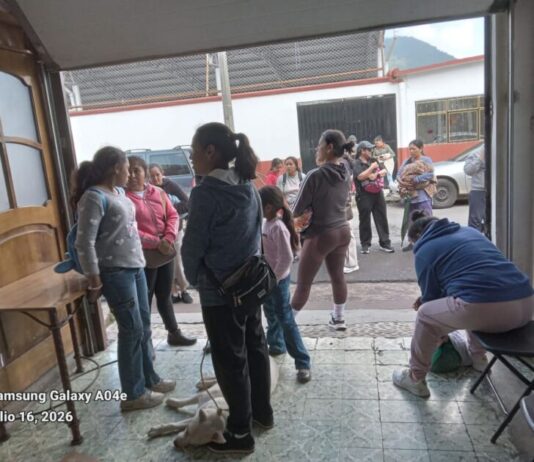 Refugio Canino Ocampo resguarda a más de 200 perros en espera de una familia