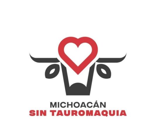 Con aval del Ayuntamiento de Paracho, animalistas denuncian “carnicería pública” y repudian crueldad animal