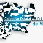 Se requieren políticas permanentes y no emergentes en el cuidado del medio ambiente: CEAM