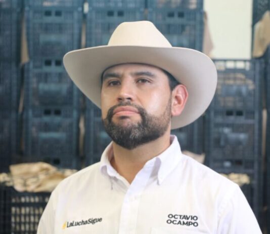 Celebra Octavio Ocampo reactivación de exportaciones de aguacate; pero pide garantías permanentes para productores