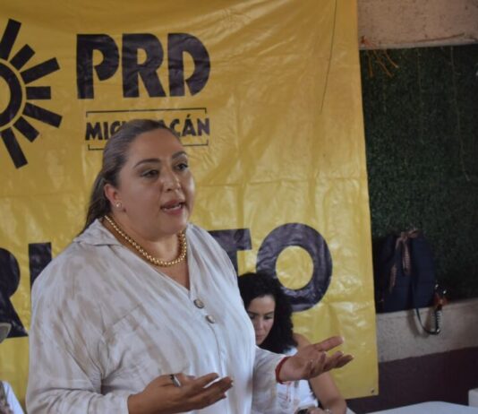 Michoacán no puede acostumbrarse a vivir con miedo para poder trabajar: Verónica García