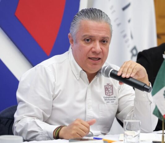 Licencias de conducir digitales, una realidad en Michoacán: Luis Navarro