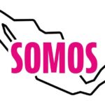 “Sufre Somos México atropello jurídico del TEPJF al obligarnos a modificar identidad”: Carmen Pille