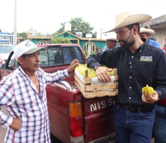 Queremos que la producción de guayaba se convierta en un motor de desarrollo sostenible para Juárez y para todo Michoacán: Octavio Ocampo