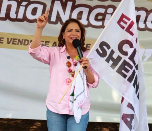 La transformación se traduce en bienestar para 42 millones de mexicanas y mexicanos: Fabiola Alanís