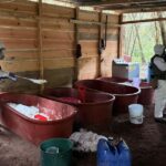 “Ejército Mexicano y Guardia Nacional en coordinación con la Armada, Secretaría de Seguridad y Protección Ciudadana y Fiscalía General de la República localizaron e inhabilitaron un laboratorio clandestino para la elaboración de droga sintética en Zitácuaro, Mich.”