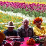 Tarímbaro espera 60 mil visitantes en la Feria de la Flor de Cempasúchil 2026